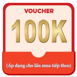 voucher 100 02