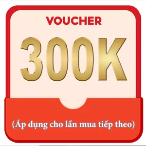 voucher 300 02