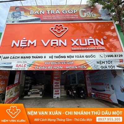 nệm cao su thiên nhiên bình dương