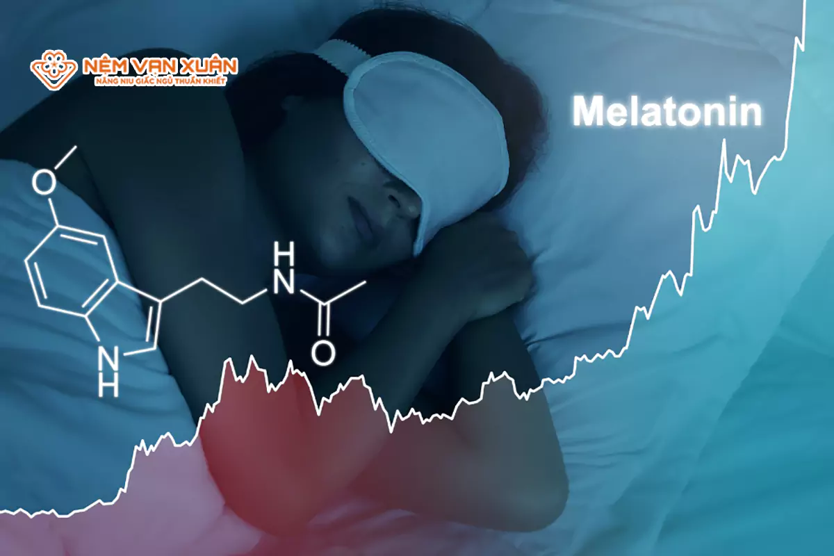 Đầy đủ hướng dẫn về melatonin