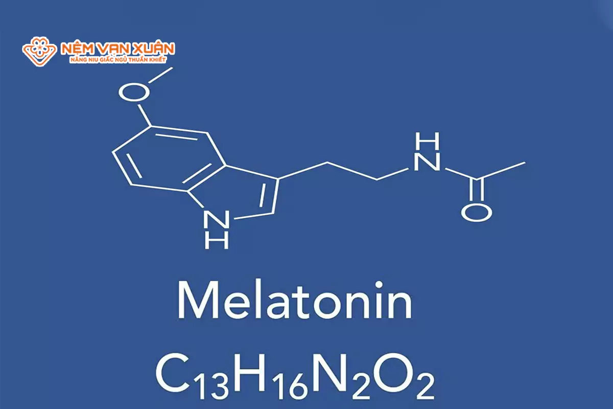 Cơ chế hoạt động của Melatonin