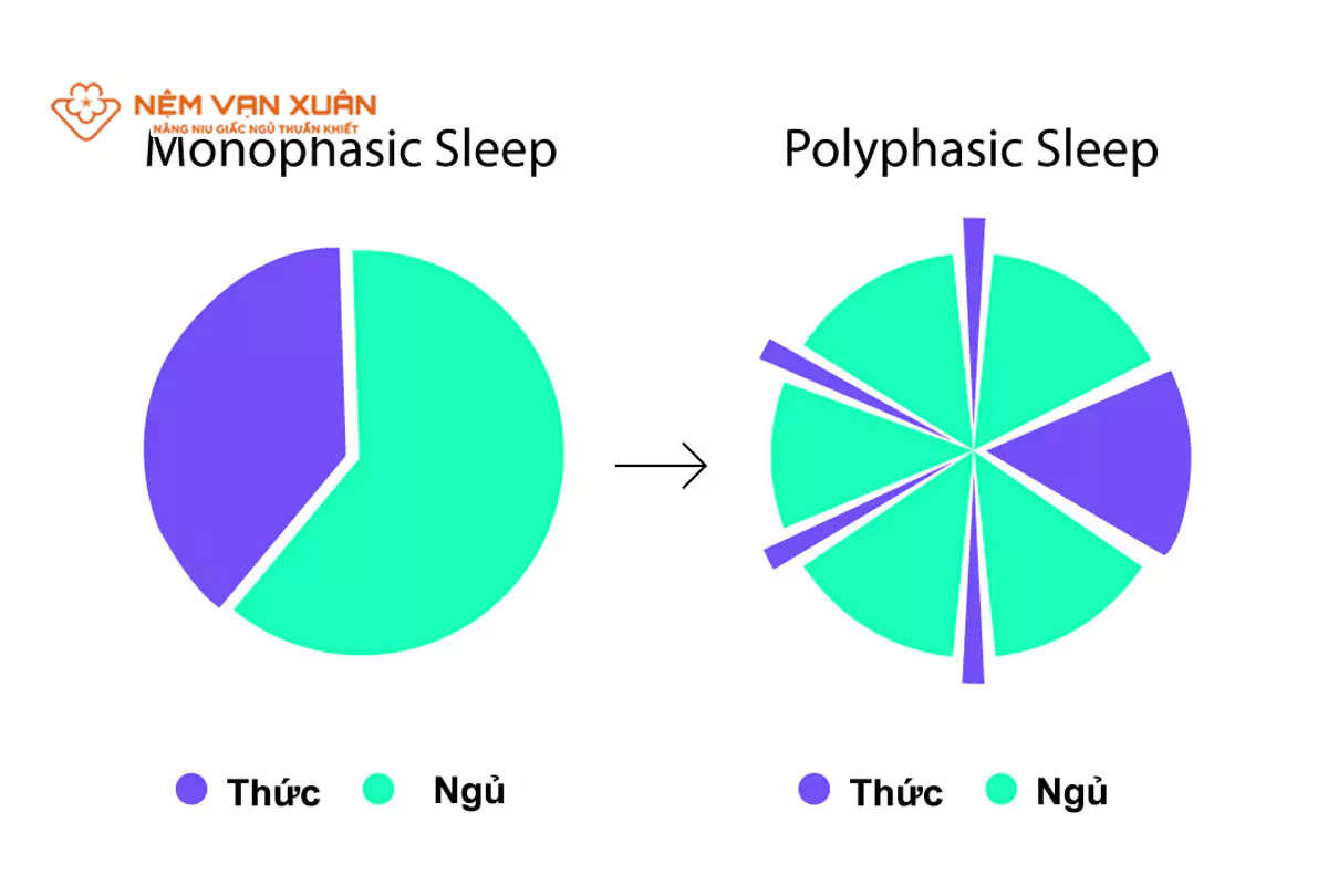 Phương pháp ngủ ngắn hơn mà vẫn đảm bảo hiệu quả