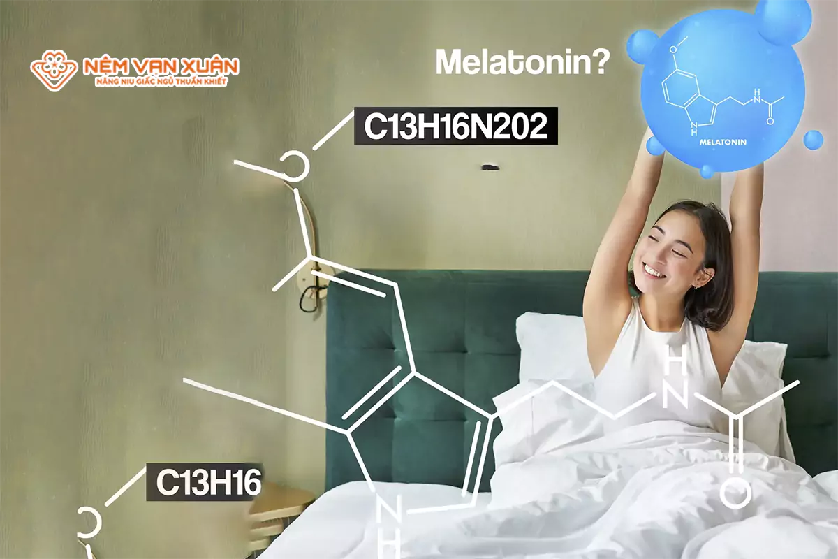 Melatonin và vai trò trong giấc ngủ