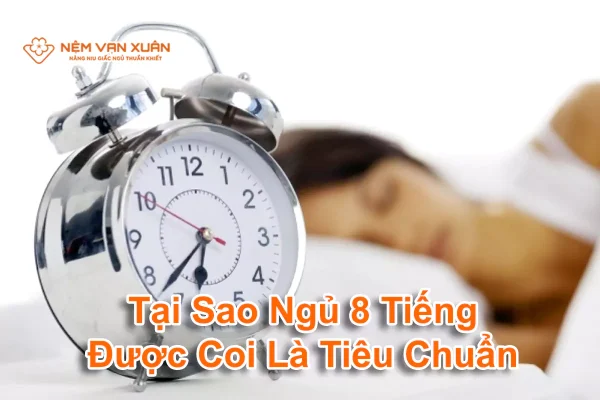 tại sao ngủ một ngày 8 tiếng là tiêu chuẩn