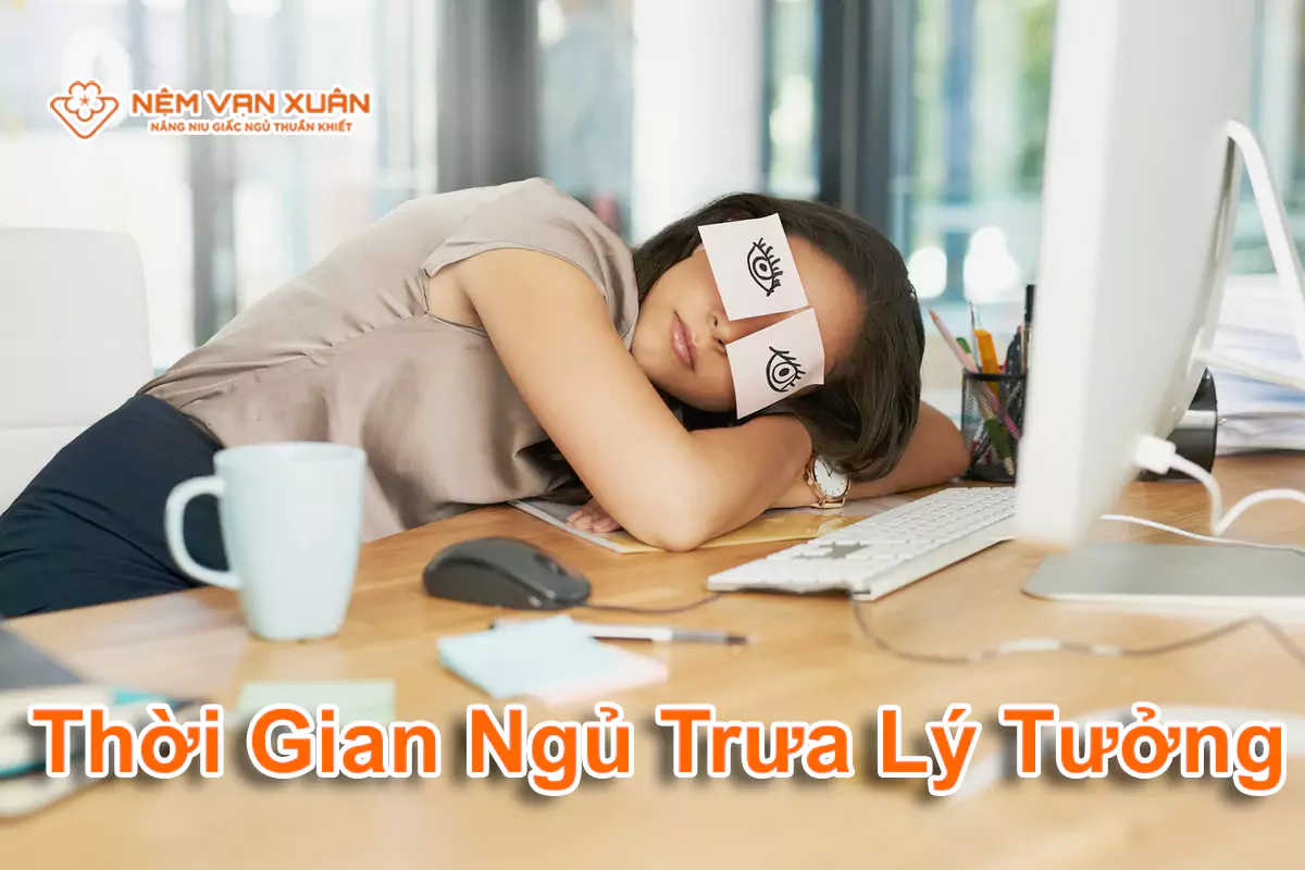 thời gian ngủ lý tưởng