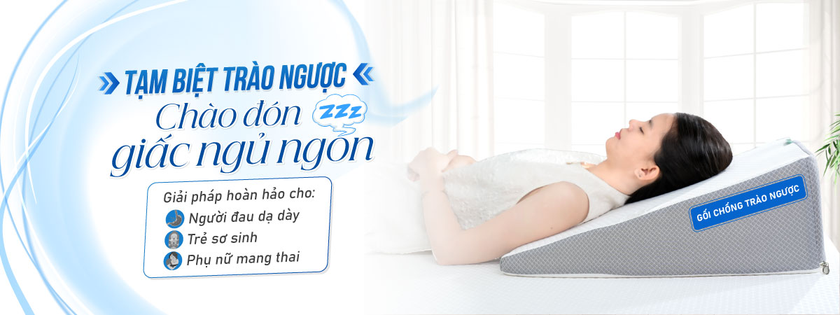 gối chống trào ngược