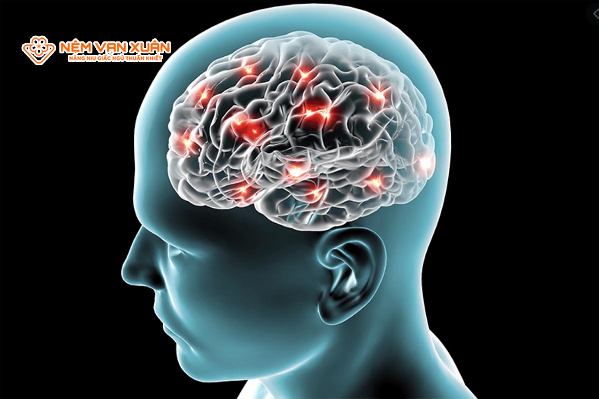 Nguyên nhân gây ra Ngủ li bì