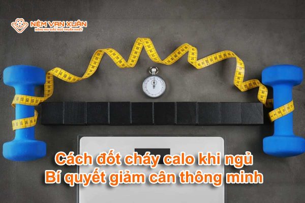 Cách đốt cháy calo khi ngủ: Bí quyết giảm cân thông minh