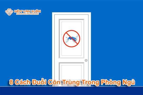 8 Cách Đuổi Côn Trùng Trong Phòng Ngủ: Hiệu Quả Và An Toàn