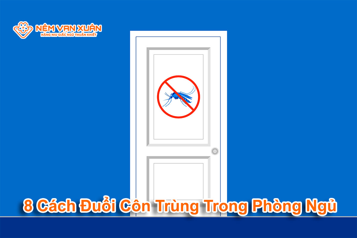 8 Cách Đuổi Côn Trùng Trong Phòng Ngủ: Hiệu Quả Và An Toàn