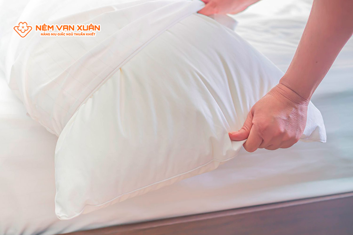 Cách đuổi kiến trong phòng ngủ