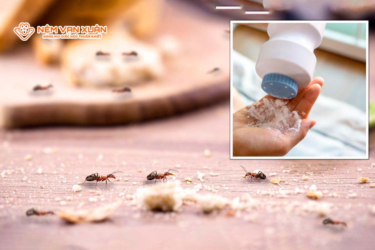 Muối và phấn rôm
