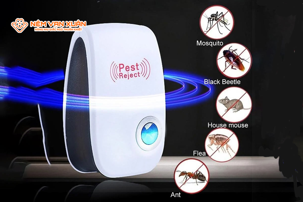 Cách đuổi kiến trong phòng ngủ bằng công nghệ cao