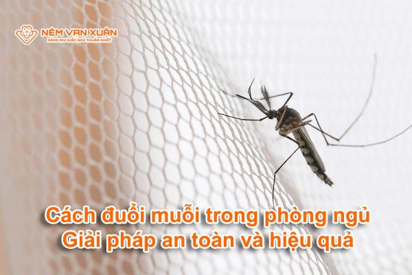 Cách đuổi muỗi trong phòng ngủ: Giải pháp an toàn và hiệu quả