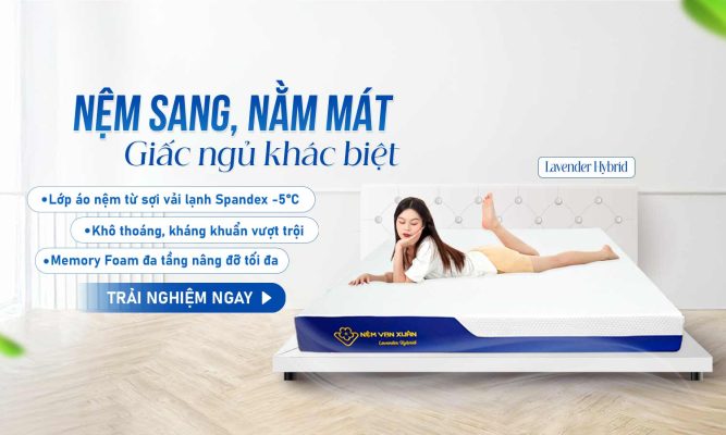 nệm foam hoạt tính hcm