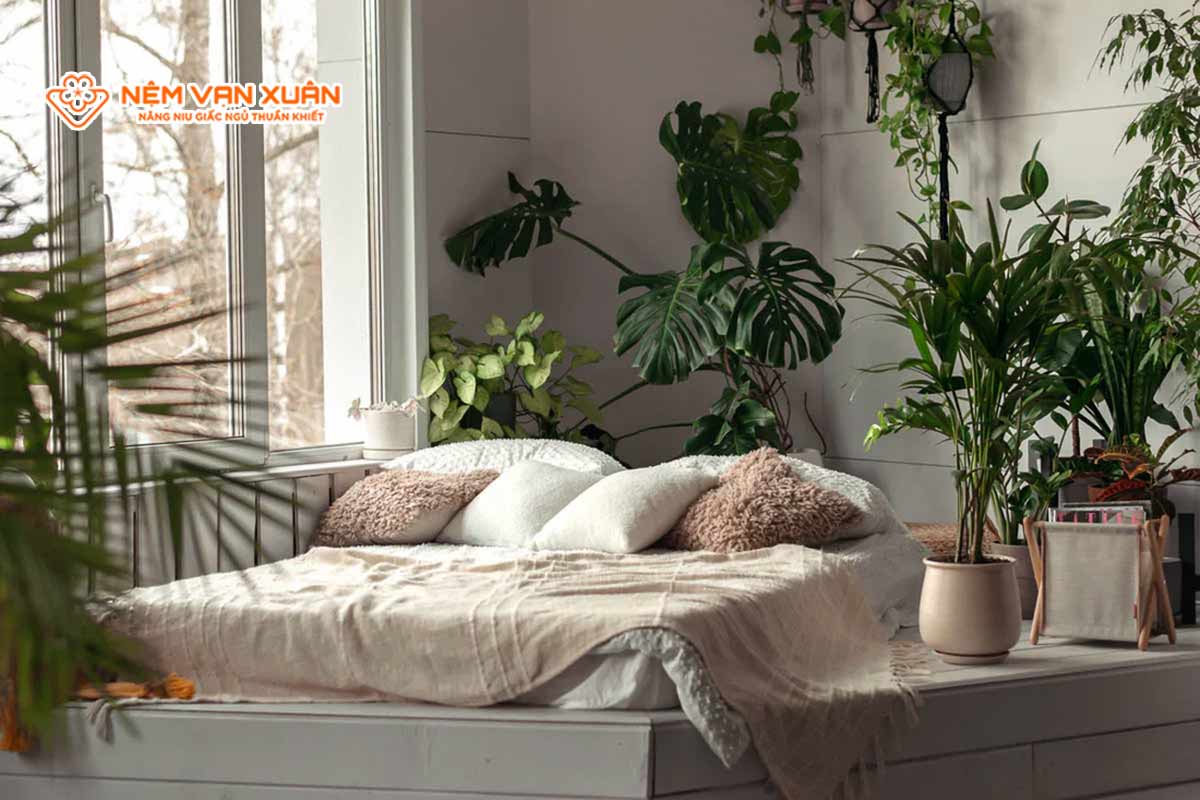 Ảnh hưởng đến phong thủy