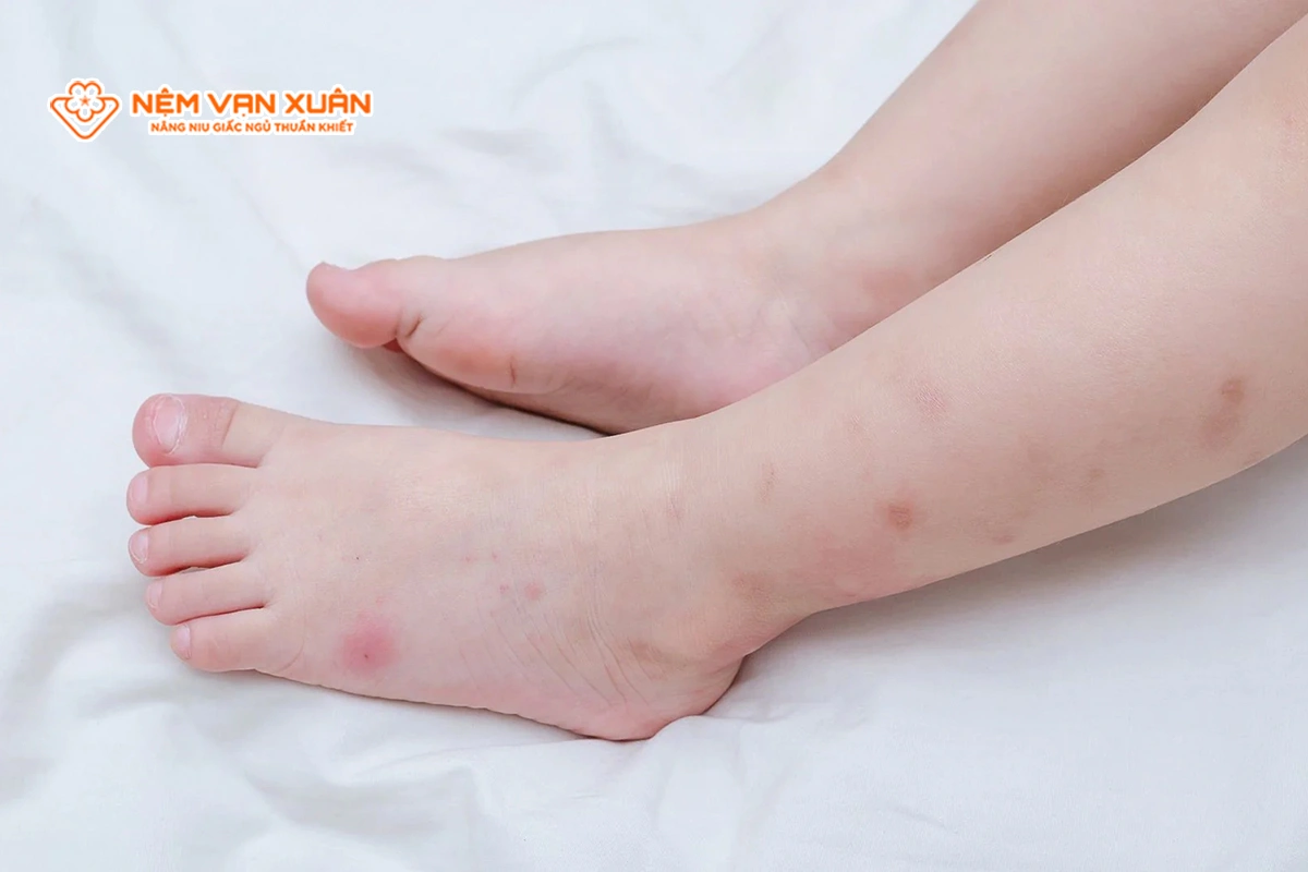 nhược điểm của nệm cao su thiên nhiên
